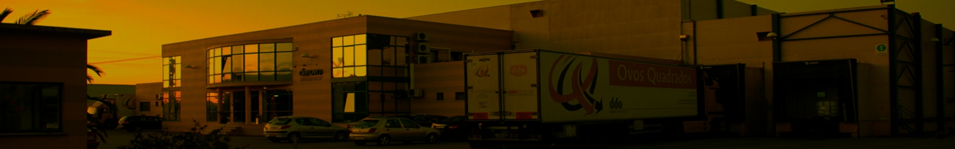 Da casca até à embalagem